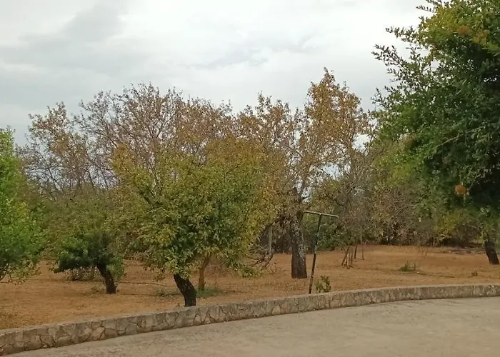 Quinta Da Romazeira São Bartolomeu de Messines