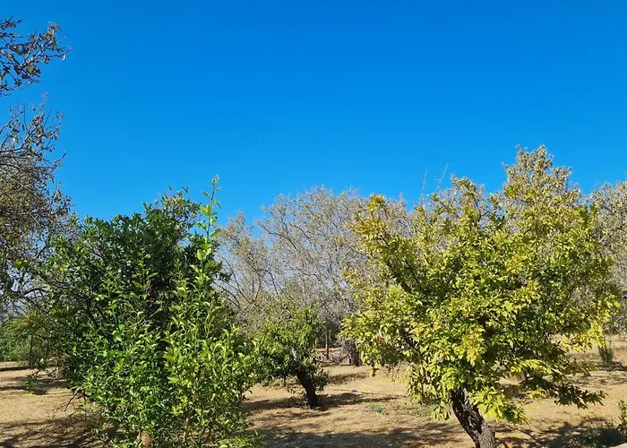 Frühstückspension Quinta Da Romazeira *