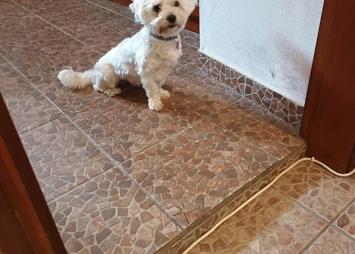 Quinta Da Romazeira * São Bartolomeu de Messines