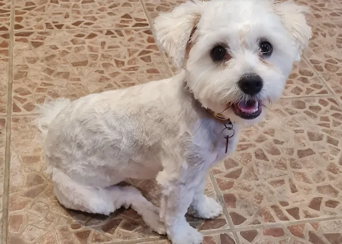 Quinta Da Romazeira Frühstückspension