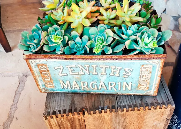 Quinta Da Romazeira * São Bartolomeu de Messines