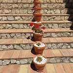 Quinta Da Romazeira Bed and breakfast