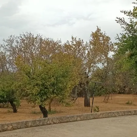 Quinta Da Romazeira São Bartolomeu de Messines