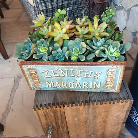 Quinta Da Romazeira ベッド・アンド・ブレックファスト *