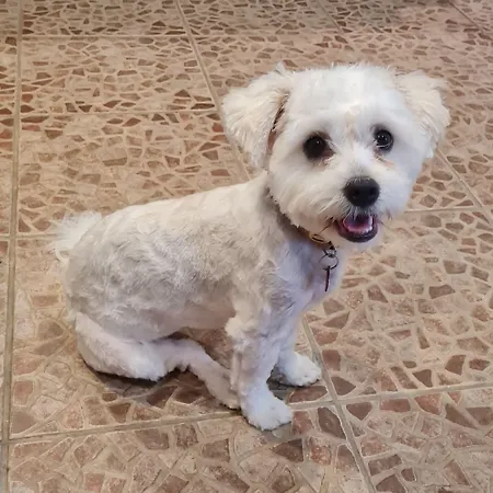 Quinta Da Romazeira B&B