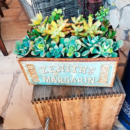 Quinta Da Romazeira * São Bartolomeu de Messines