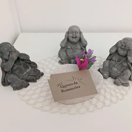 B&B Quinta Da Romazeira