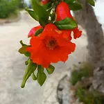 Quinta Da Romazeira São Bartolomeu de Messines