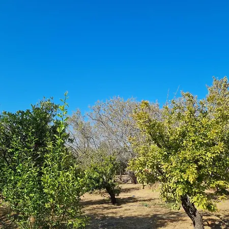 Bed & Breakfast Quinta Da Romazeira *