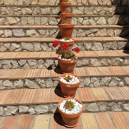 Quinta Da Romazeira Bed & Breakfast